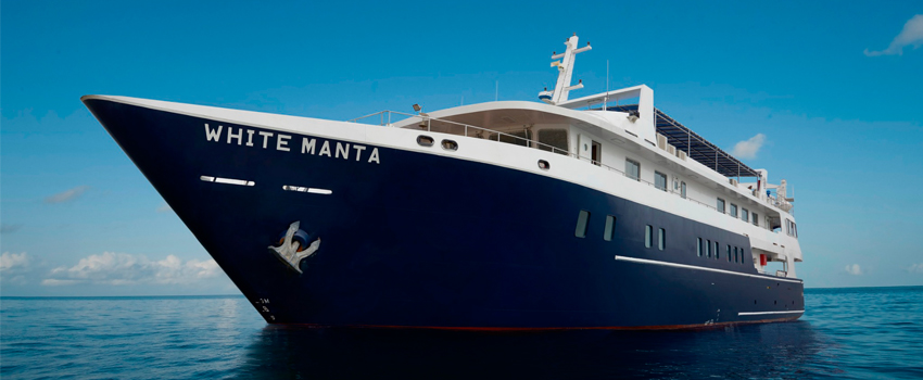 New White Manta 船宿