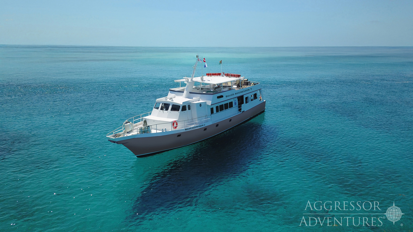 Belize Aggressor V (Bahamas Aggressor) 船宿