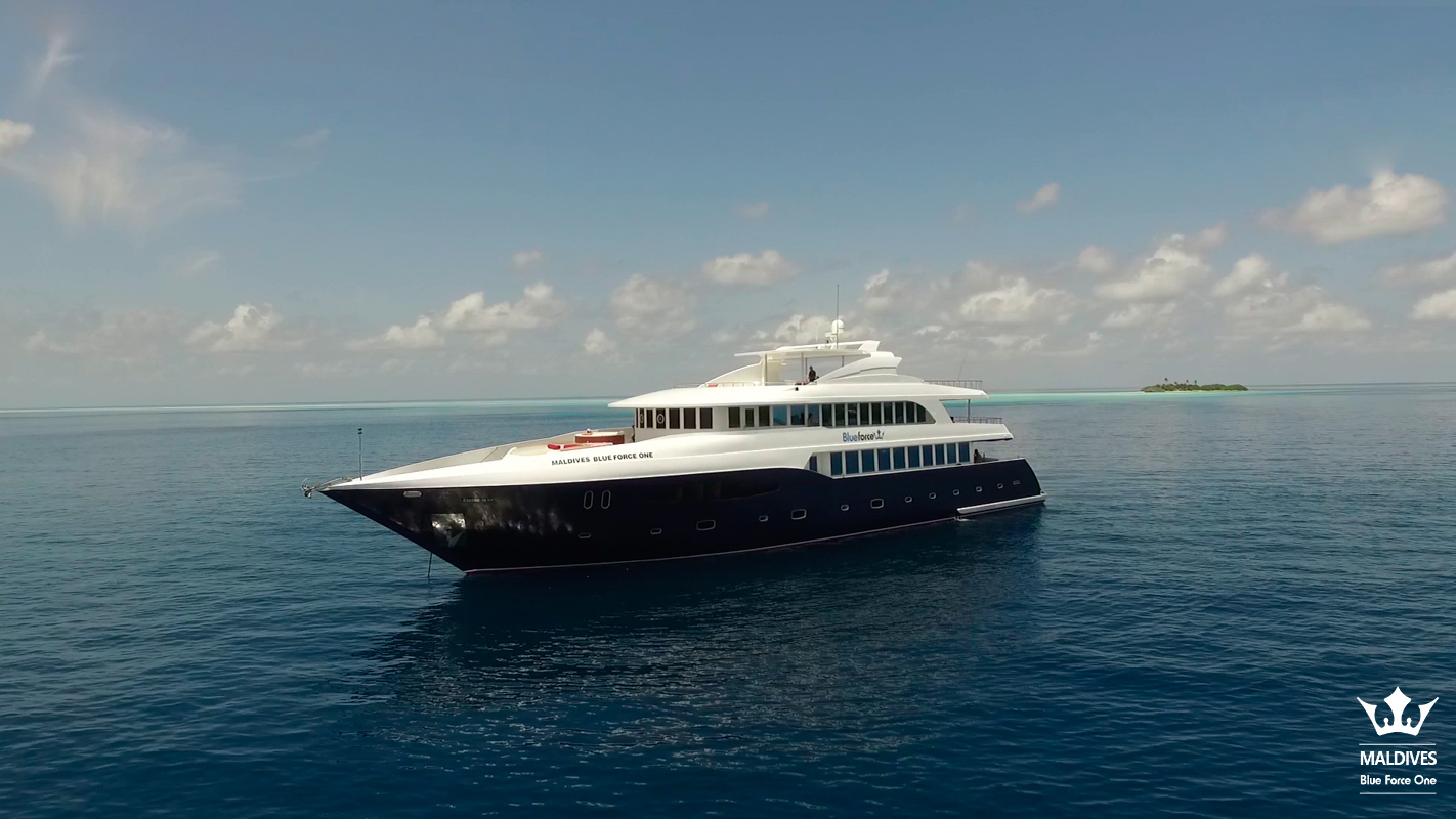Maldives Blue Force One 船宿